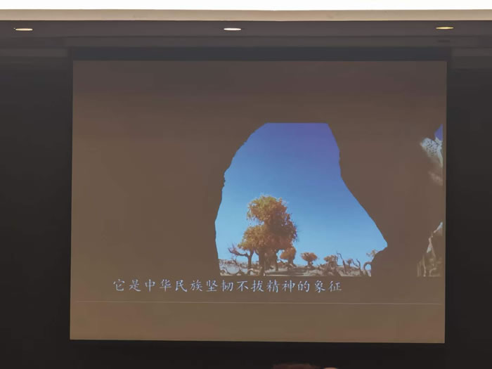 綿陽(yáng)中旅行假日旅行社舉行胡楊林、南疆專列推薦會(huì)